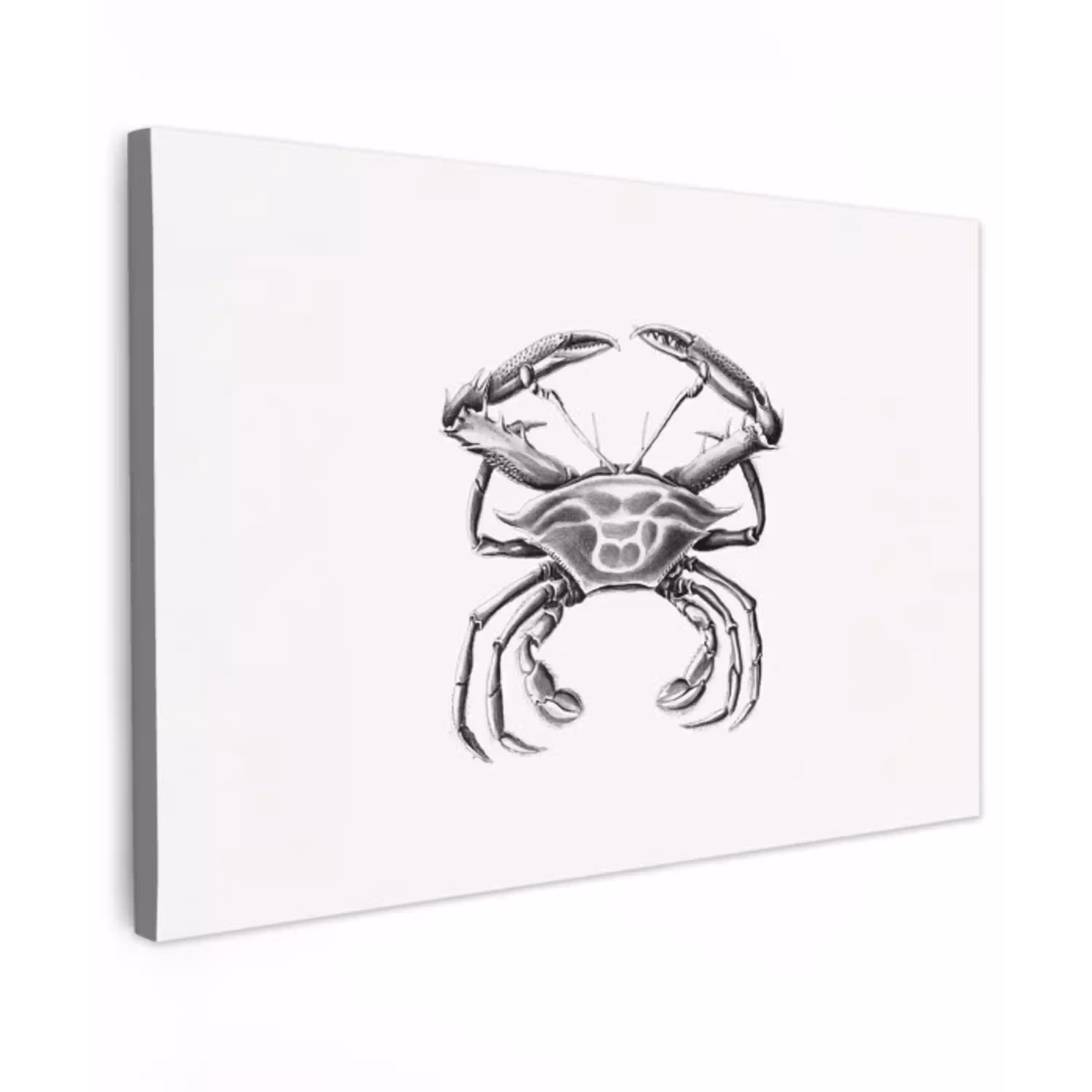 Ernst Haeckel - Vintage - Kunst - Krab canvas 2cm klein -z3d