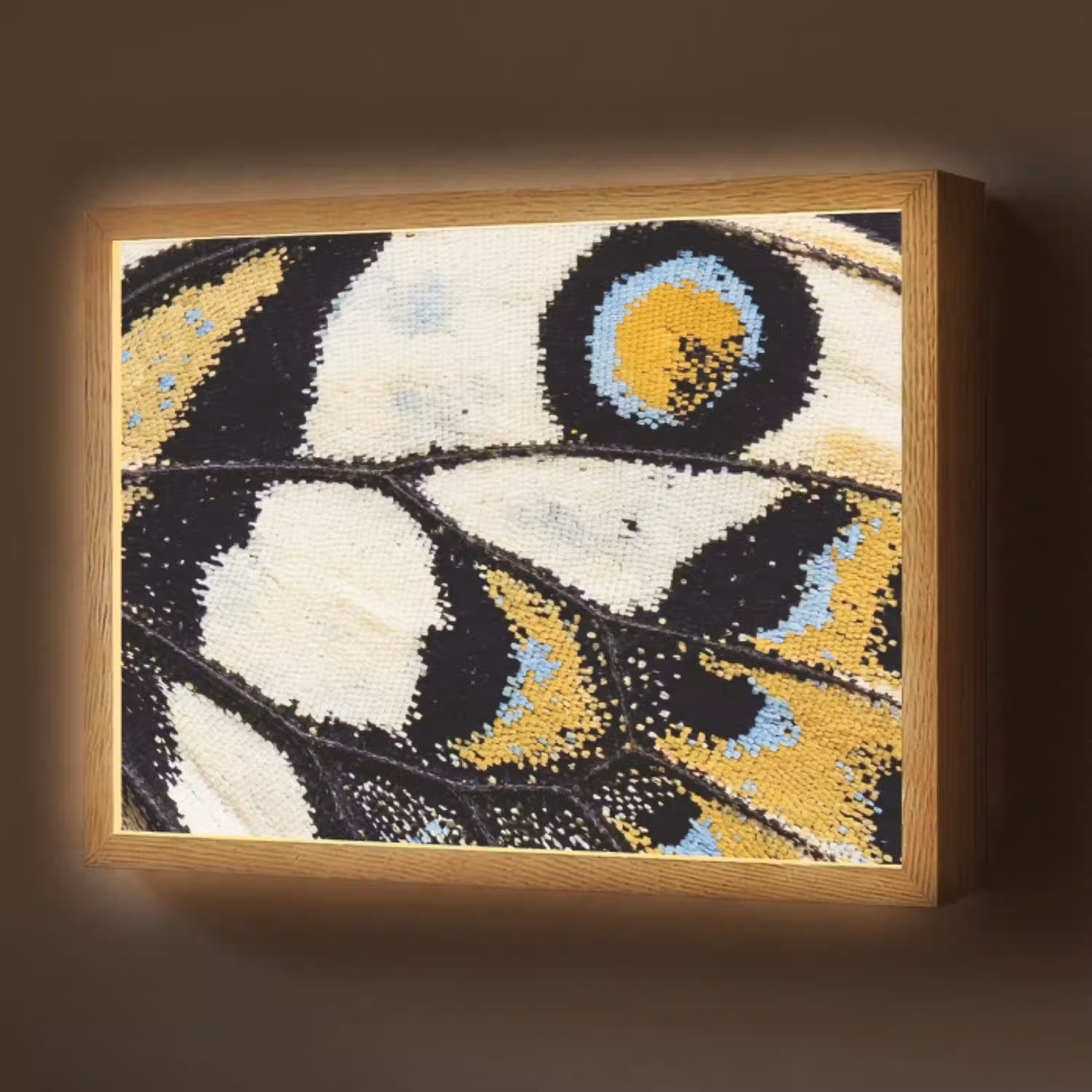 Vlinder - Vleugel - Geel Light Box met batterij (Wandlamp) middel -z3d_website