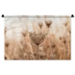 Schermbloem - Droogbloem - Winter - Beige - Minimalistisch Wandkleed katoen middel -zz3d