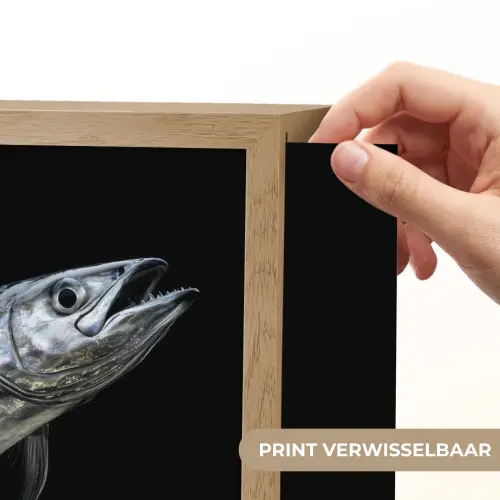 Makreel - Vis - Zwart Light Box met batterij (Wandlamp) middel -USP_websiteprintNL