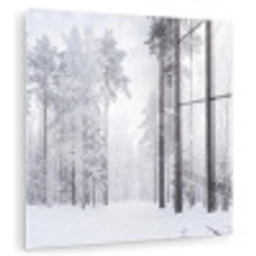 Bos - Sneeuw - Pad - Winter - Stilte plexiglas 5mm klein -zzzproduct_nieuw