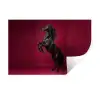 Hengst - Steigert - Rood Muursticker klein -3d