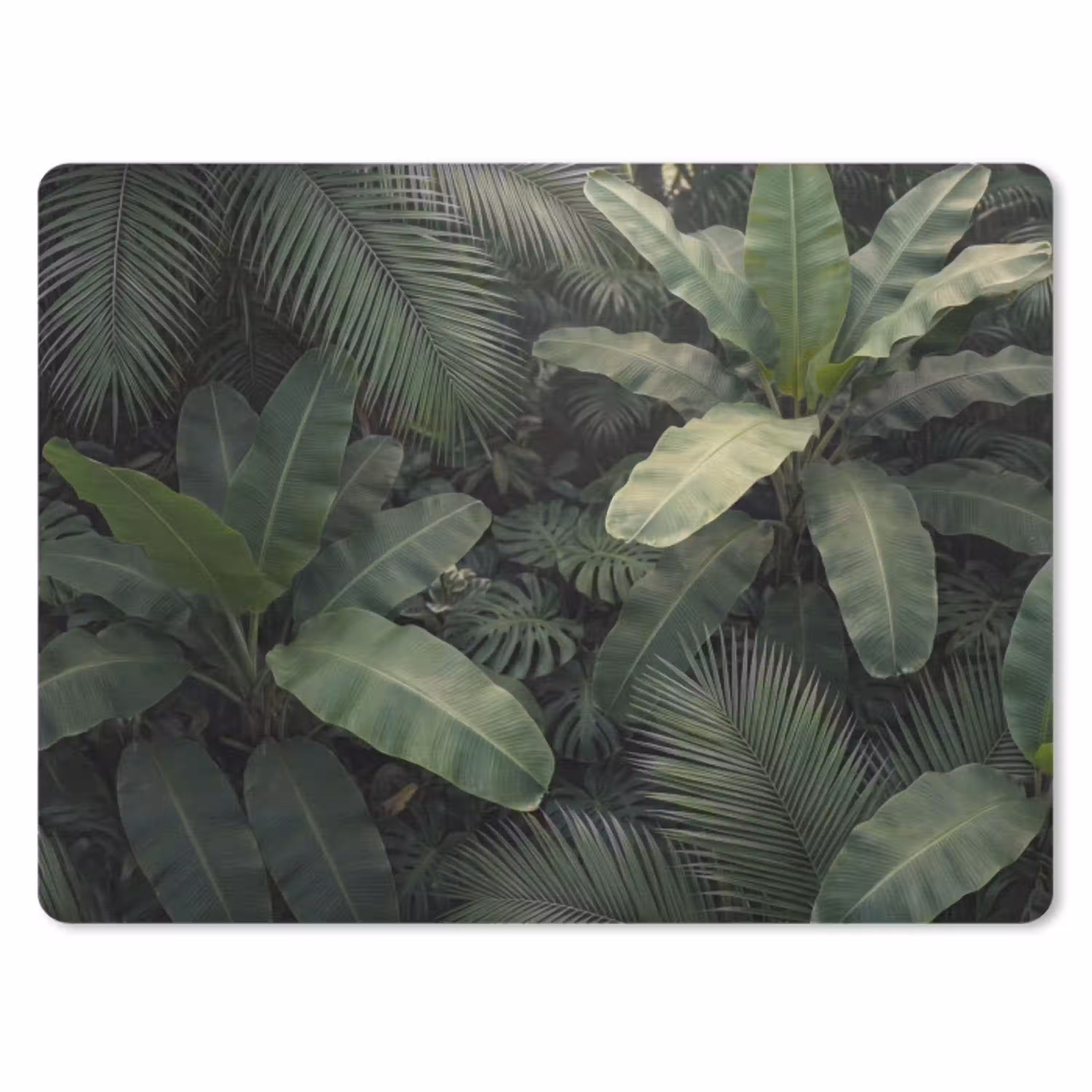 Bladeren - Groen - Tropisch - Natuur muismat rubber klein -3d