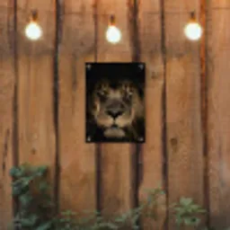 Leeuw in het schaduwlicht tuinposter los doek klein -sfeer1