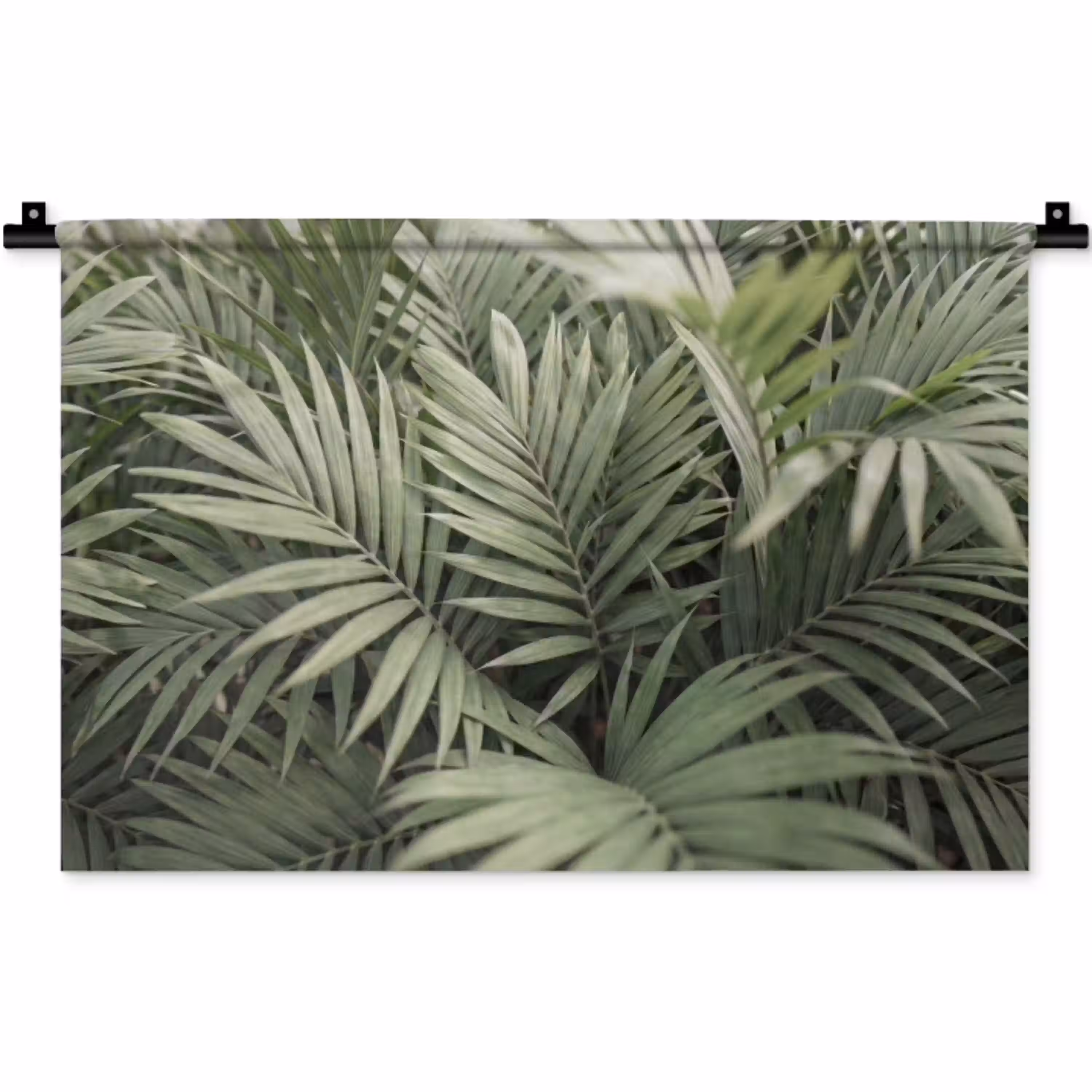 Plant - Palmbladeren - Natuur - Groen Wandkleed katoen klein -zz3d