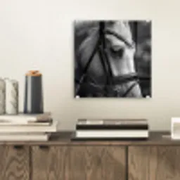 Paard - Schimmel - Portret plexiglas 5mm klein -sfeer1