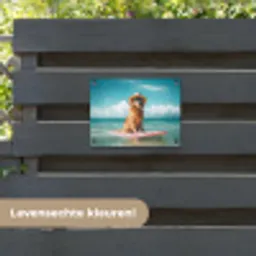 Zeewater - Hond - Golden retriever - Zonnebril tuinposter los doek klein -sfeer3