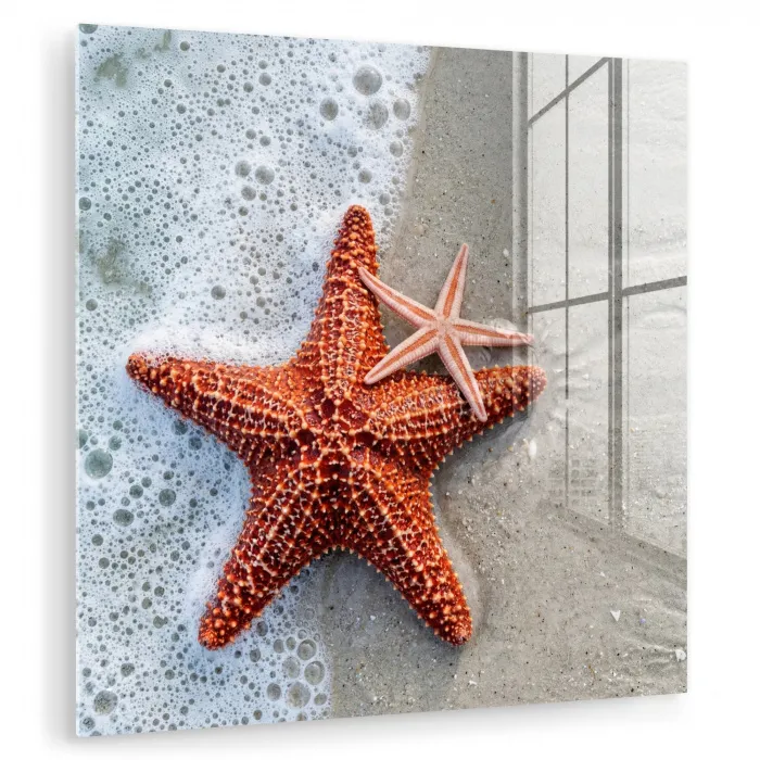 Zeester - Strand - Zee plexiglas 5mm klein -zzzproduct_nieuw