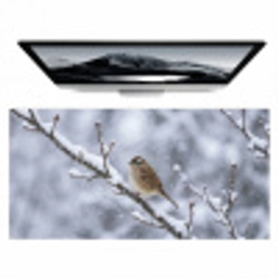 Vogel - Tak - Sneeuw - Winter Muismat XXL klein -zzz3d