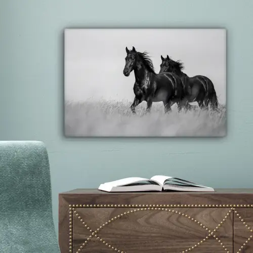 Paarden - Gras - Zwart - Wit canvas 2cm klein -sfeer4