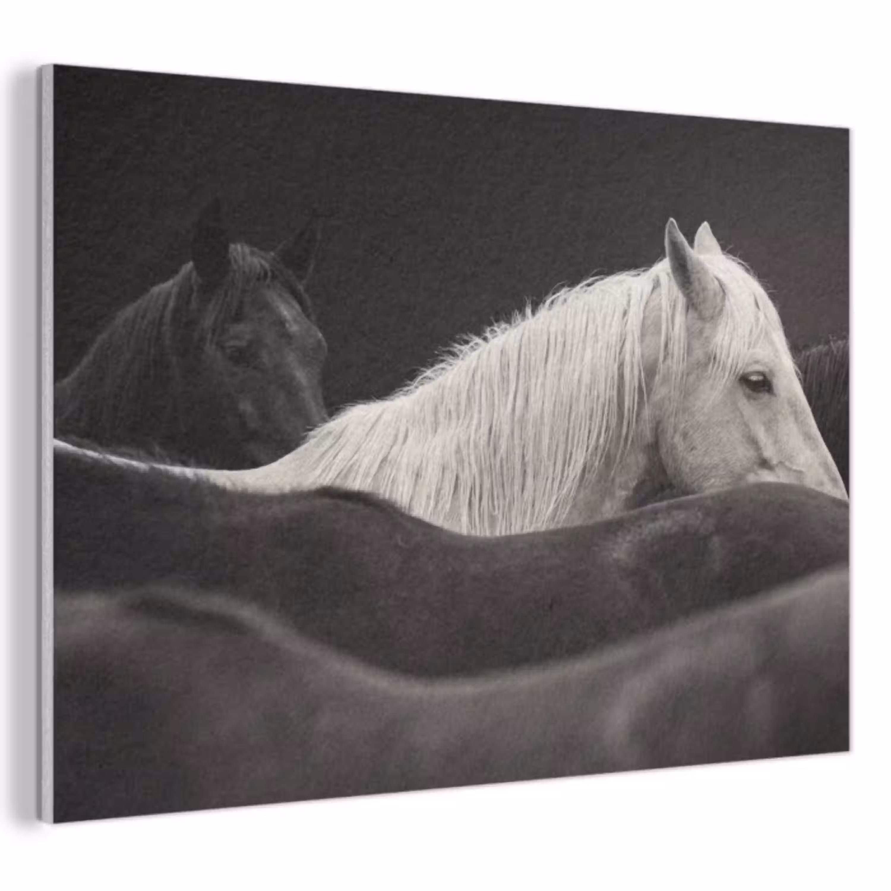 Paarden - Zwart - Wit - Kudde PET vilt klein -3d