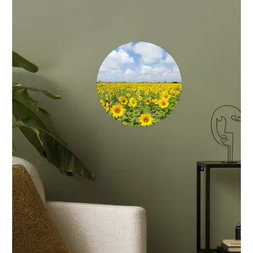 Zonnebloemen - Bloemen - Wolken - Natuur - Geel - Landschap Wandcirkel behangsticker klein -sfeer2