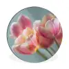 Tulpen - Roze - Stelen Wandcirkel aluminium klein -3d