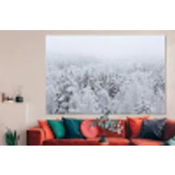 Bos - Sneeuw - Winter - Natuur - Wit forex 5mm xxl -woonkamer