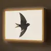 Zwarte zwaluw - Gouden accenten - Lichte achtergrond Light Box met batterij (Wandlamp) middel -z3d_website