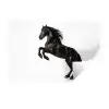 Zwart - Paard - Portret Muursticker klein -3d