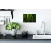 Jungle - Brug - Mos - Natuur - Tropisch Muursticker klein -keuken