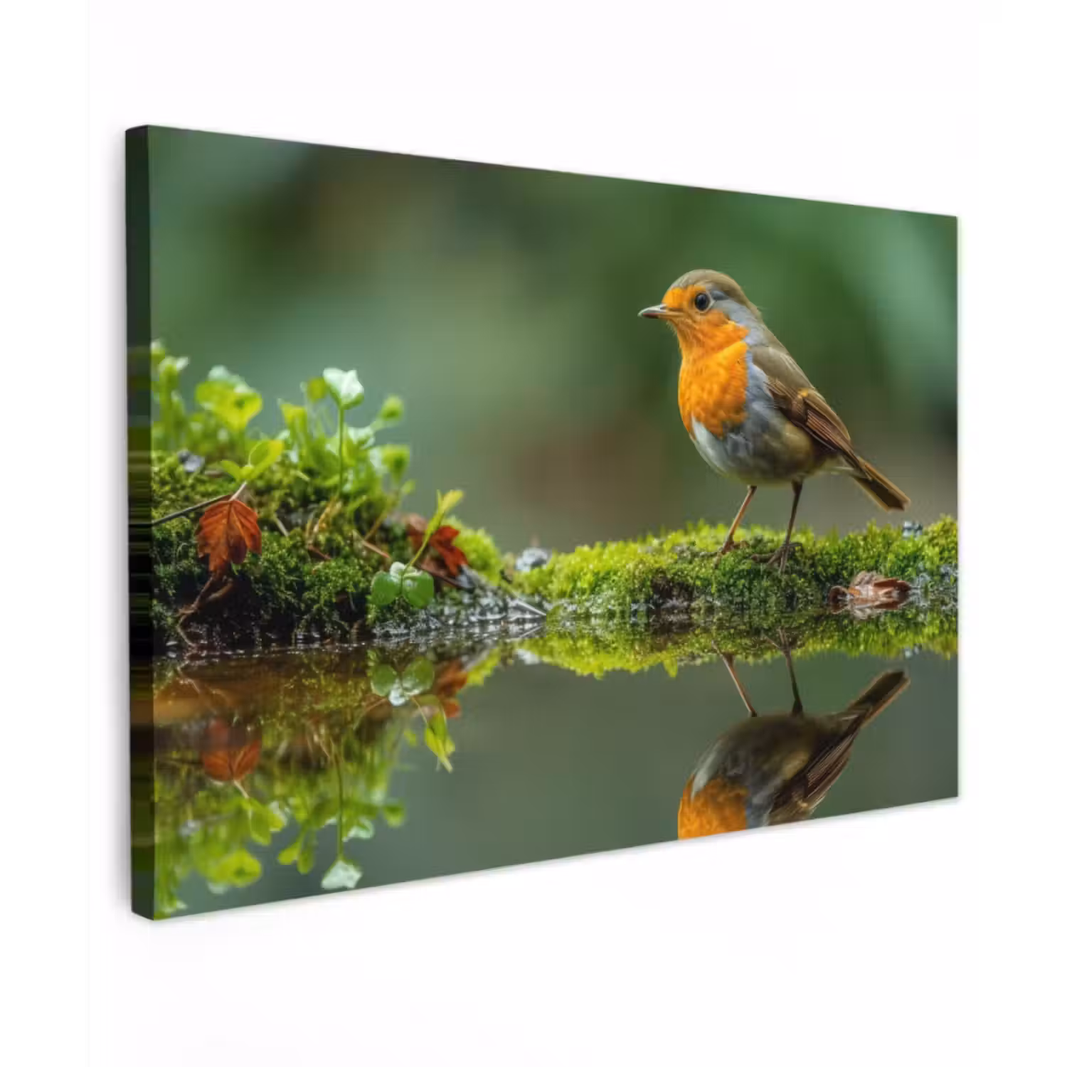Outdoor Canvas Print - Robin by the Water
