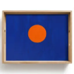 Vorm - Rond - Minimalistisch - Blauw Dienblad Rechthoek middel -z3d_shopping