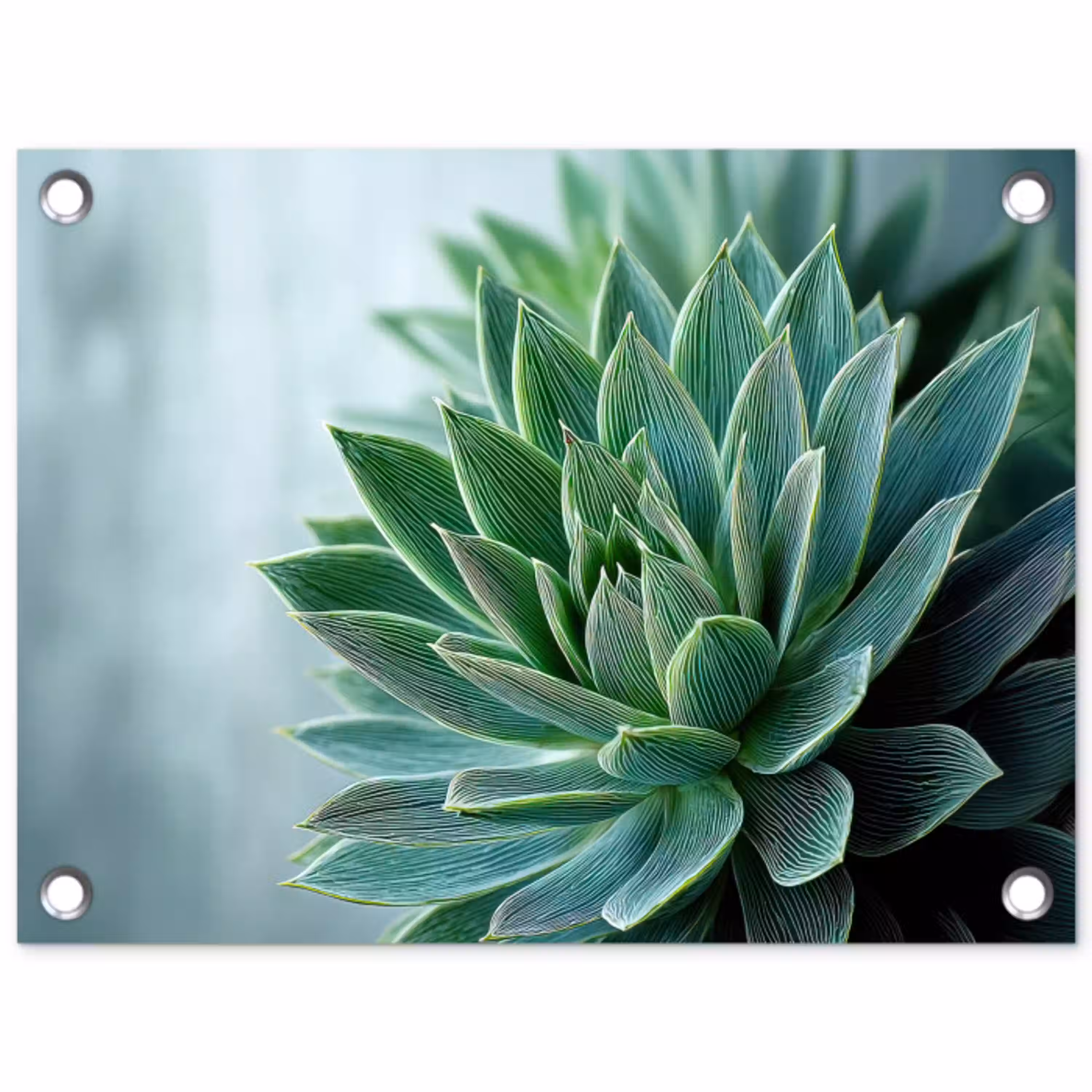 Vetplant - Bladeren - Groen - Wazig tuinposter los doek klein -3d