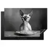 Sphynx - Kat - Dieren - Humor - Spaghetti - Zwart Wit Inductie beschermer vinyl 3mm klein -3d