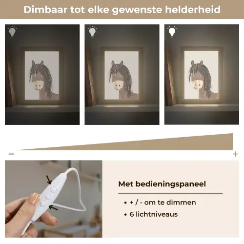 Paard - Dier - Pastel kleuren - Paarden Light Box met kabel klein -USP_dimbaarNL