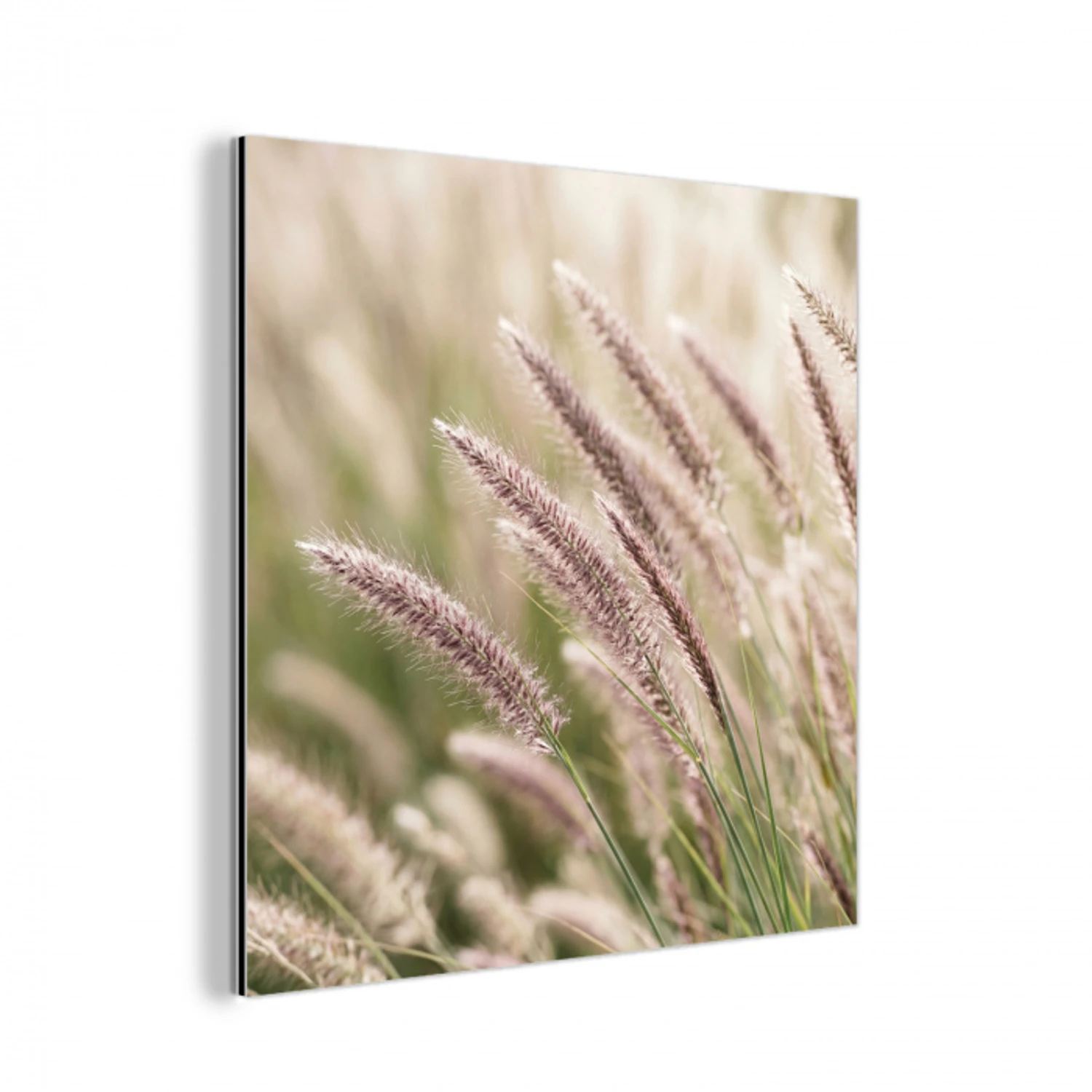 Gras - Close up - Groen aluminium wit klein -3d