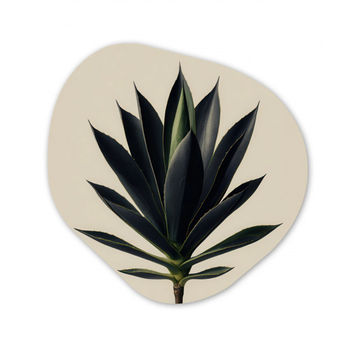 Agaveplant - Symmetrisch - Groen Wandcirkel Organisch Forex 3mm klein -3d
