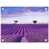 Lavendel - Natuur - Paars - Bomen - Bloemen tuinposter los doek klein -3d