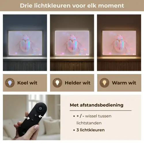 Kever - Metallic - Lichteffect - Roze Light Box met batterij (Wandlamp) middel -USP_lichtkleurNL