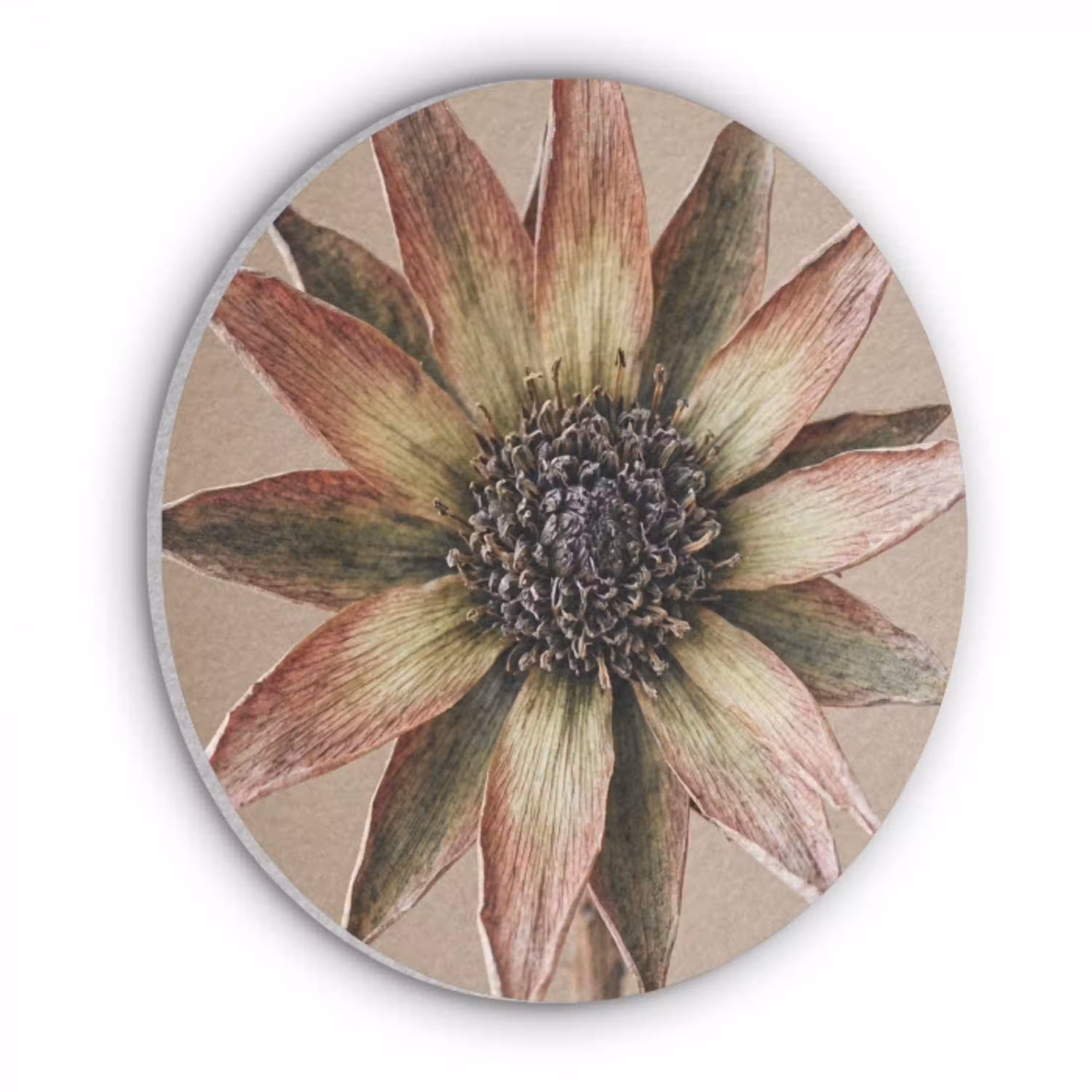 Droogbloem - Protea - Vintage - Beige - Rustiek Akoestische PET Vilt - Rond klein -3d