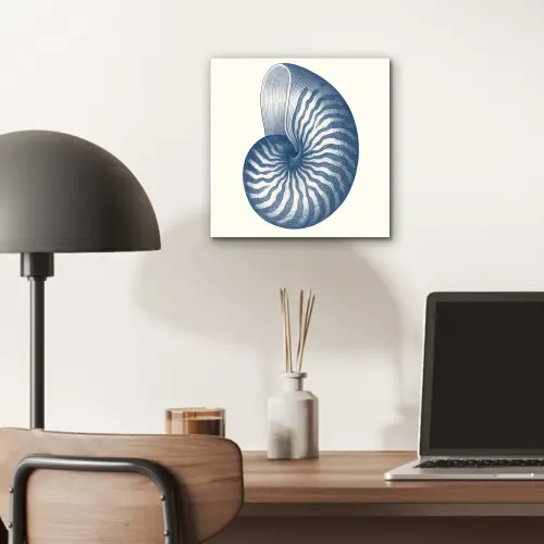 Blauw - Schelp - Spiraal aluminium wit klein -sfeer5