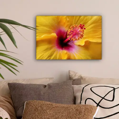 Geel - Hibiscus - Tropisch canvas 2cm klein -sfeer1