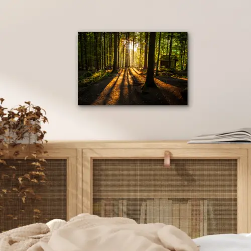 Zon - Bomen - Bos - Landschap - Natuur aluminium wit klein -sfeer3