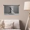 Alpaca - Pasta - Zwart - Wit - Grappig - Dieren Wandkleed katoen klein -sfeer4