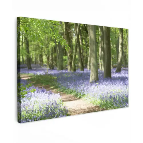 Bos - Pad - Bloemen - Paars - Groen - Natuur canvas 2cm klein -z3d