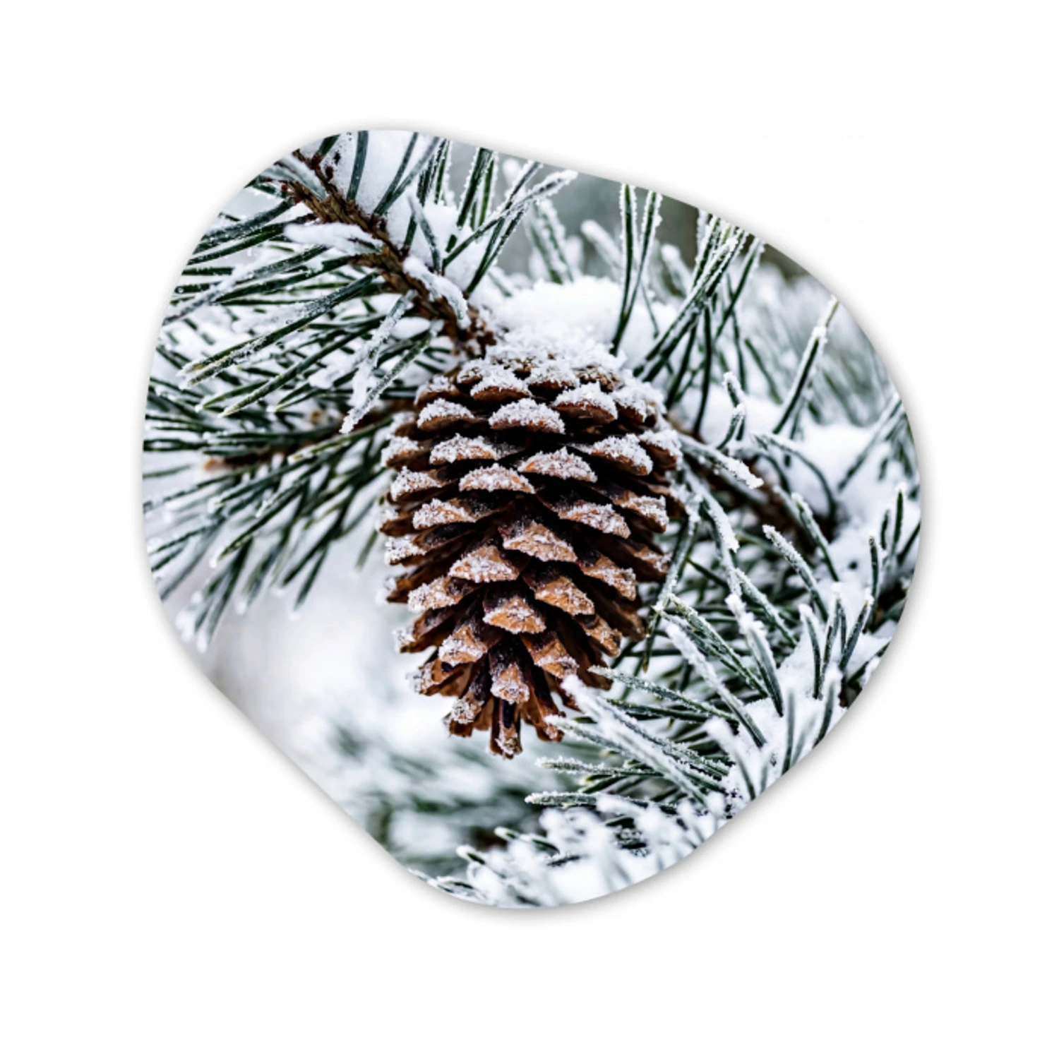 Dennenappel - Tak - Sneeuw - Winter - Sfeervol Wandcirkel Organisch Aluminium middel -3d