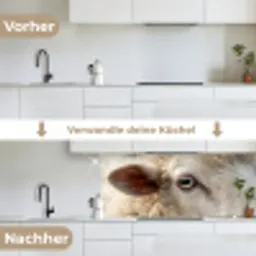 Schaap - Oog - Wit keuken achterwand 2 middel -voor-na_DE