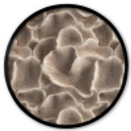 Waaiervorm - Beige - Vezel textuur Fotolijst rond zonder passe partout klein 856 -3d