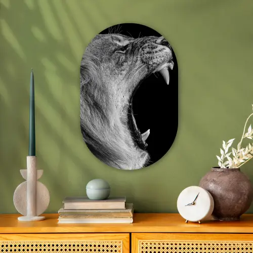 Dieren - Leeuw - Zwart - Wit - Portret Wandcirkel Ovaal Forex klein -sfeer2