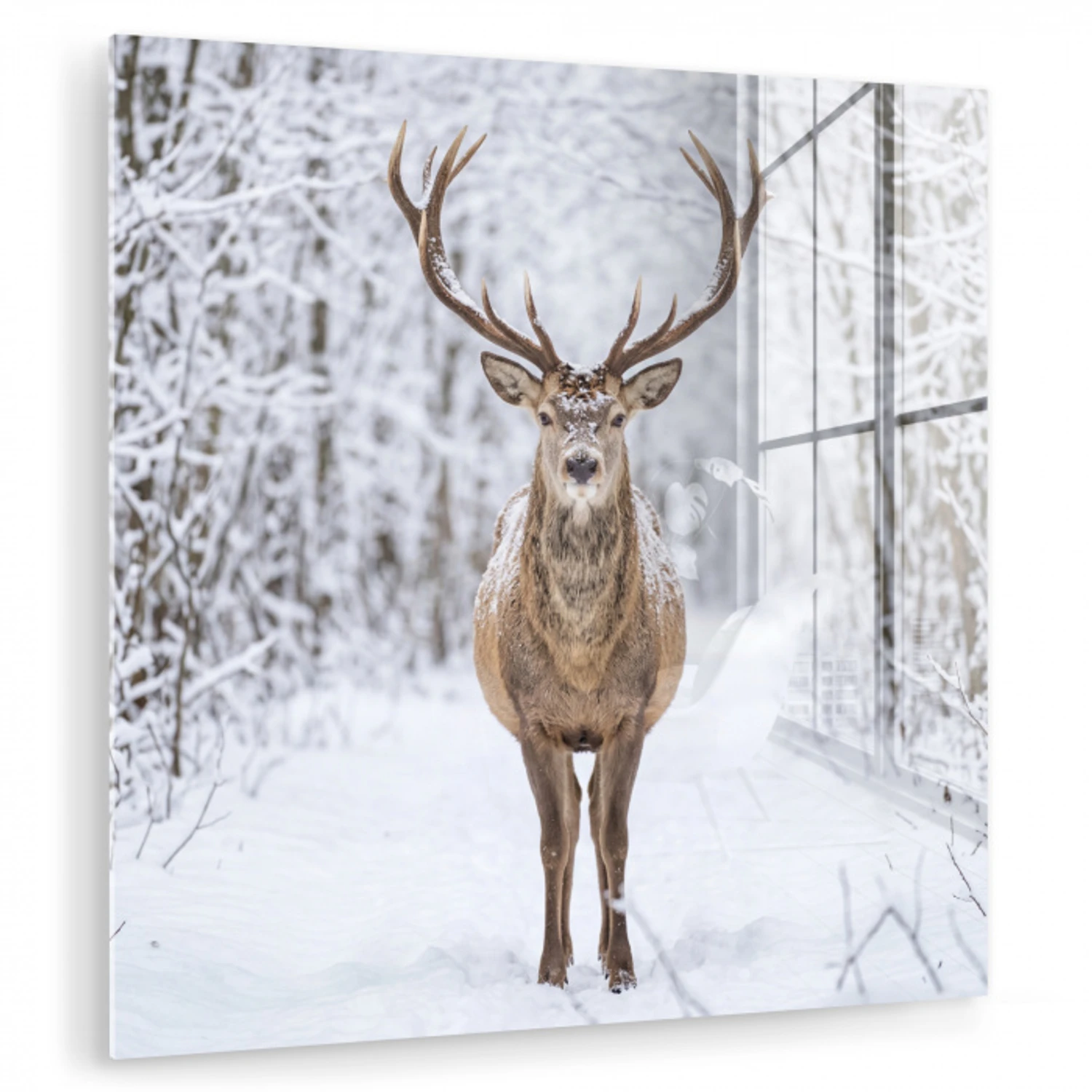 Hert - Winter - Bos - Natuur - Wit plexiglas 5mm klein -zzzproduct_nieuw