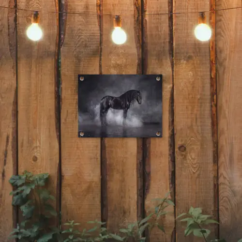Paard - Magisch - Zwart tuinposter los doek klein -sfeer1