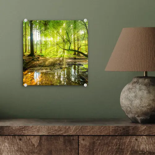 Bos - Landschap - Water - Bomen - Zon - Groen - Natuur plexiglas 5mm klein -sfeer3