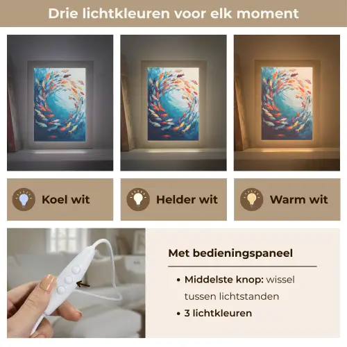 Zee - Vissen - Kleurrijk - Dynamisch Light Box met kabel (Tafellamp) klein -USP_lichtkleurNL