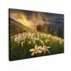 Bloemenveld - Heuvels - Zonsondergang - Berg - Natuur - Wit - Heuvels canvas 2cm klein -z3d