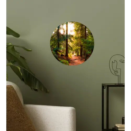 Bos - Pad - Bomen - Groen - Zon - Natuur Wandcirkel behangsticker klein -sfeer2