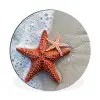 Zeester - Strand - Zee Wandcirkel aluminium klein -3d