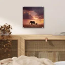 Olifanten - Grasland - Zonsondergang plexiglas 5mm klein -sfeer4