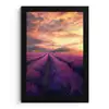 Lavendelveld - Zonsondergang - Paars fotolijst zwart zonder passe partout klein -3d