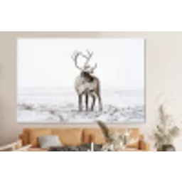 Rendier - Gewei - Sneeuw - Winter forex 5mm xxl -bovenbank